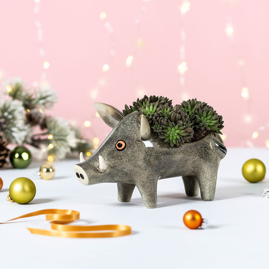 Wild boar planter by Hannah Turner