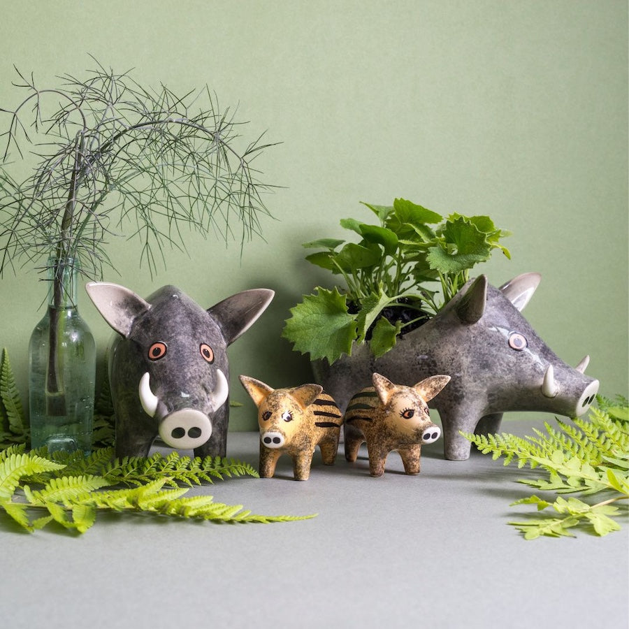 Handmade Ceramic Wild Boar Money Box, Salt and Peppers, Planter by Hannah Turner