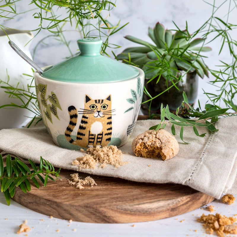 Handmade Ceramic Pottery  Cat Sugar Bowl with Lid by Hannah Turner
