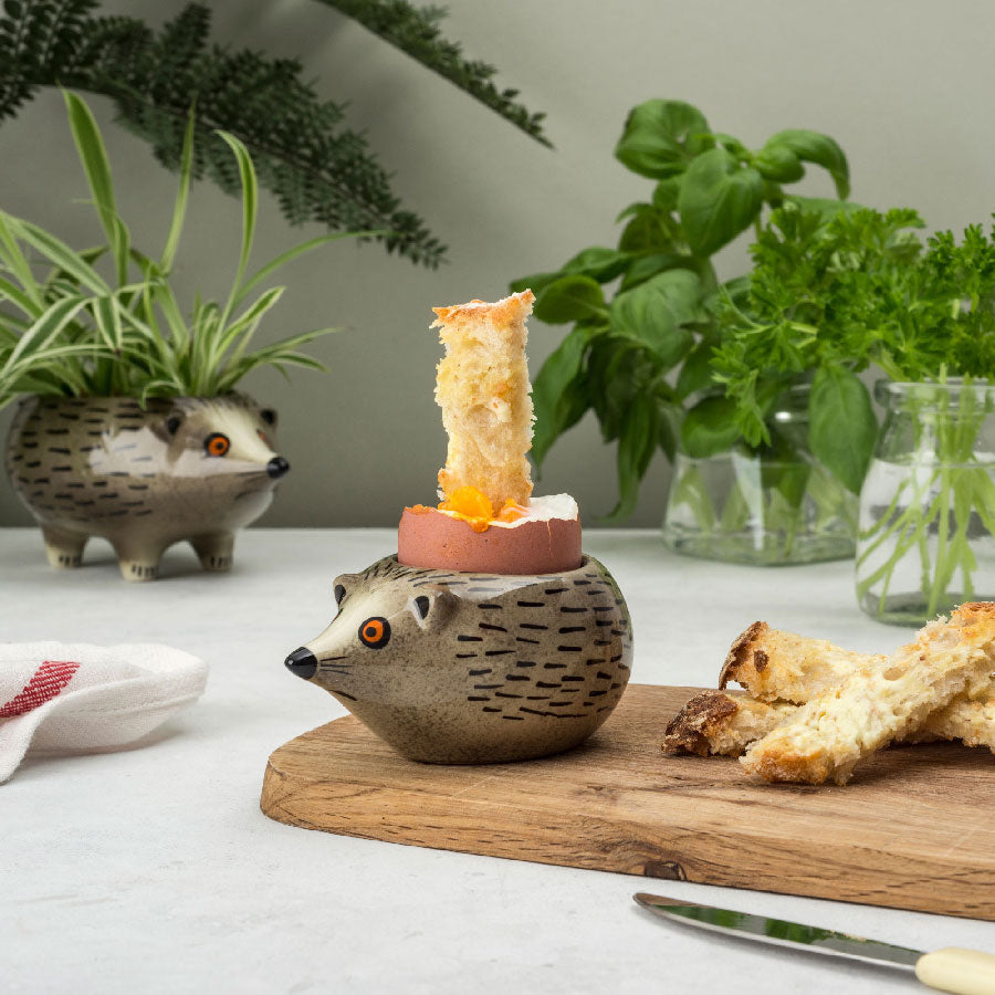 Egg and toast soldiers in a hedgehog egg cup by Hannah Turner