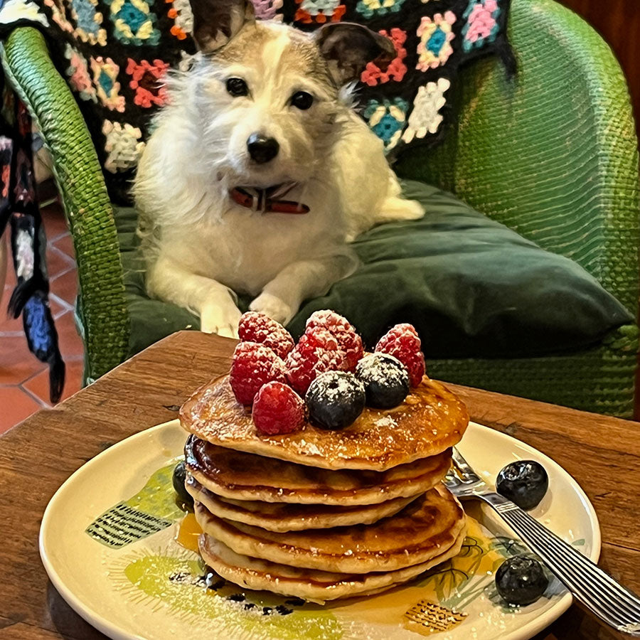 Betty the dog sat with a stack of pancakes made by Hannah Turner