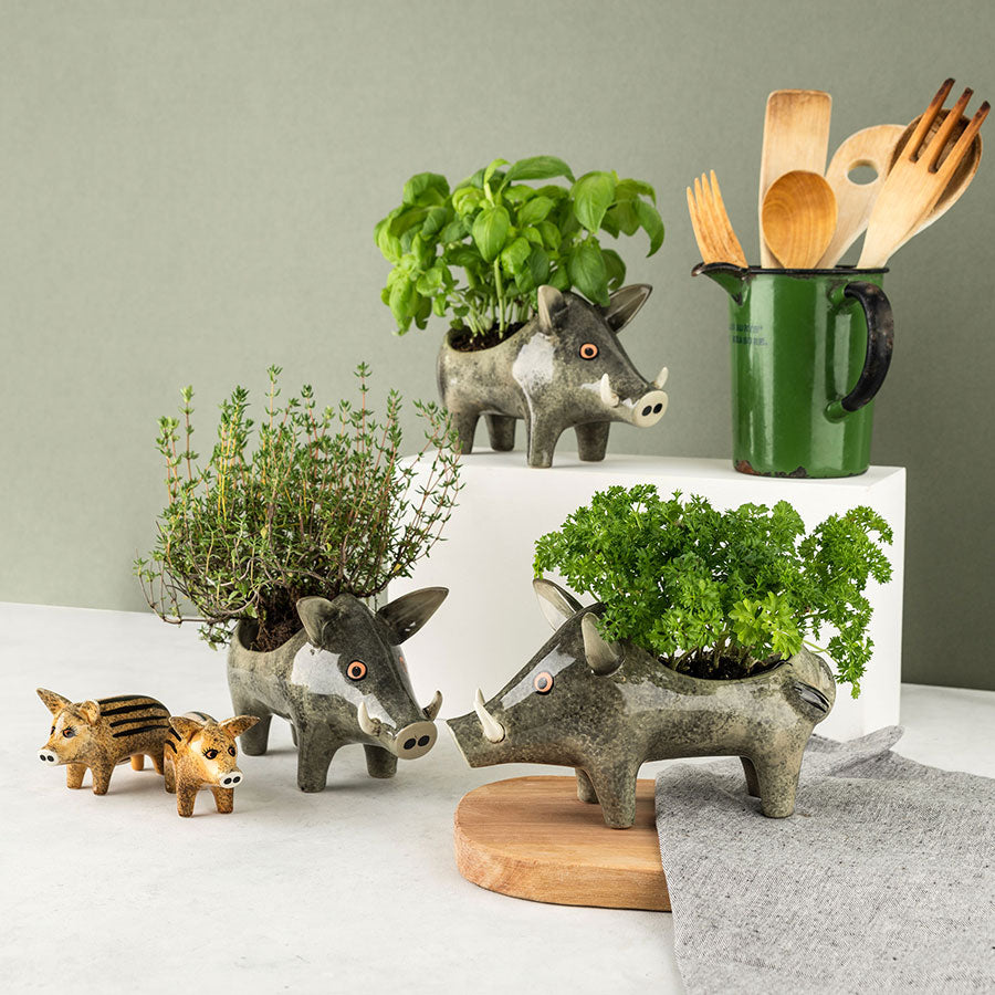 Handmade Ceramic Wild Boar Planter by Hannah Turner