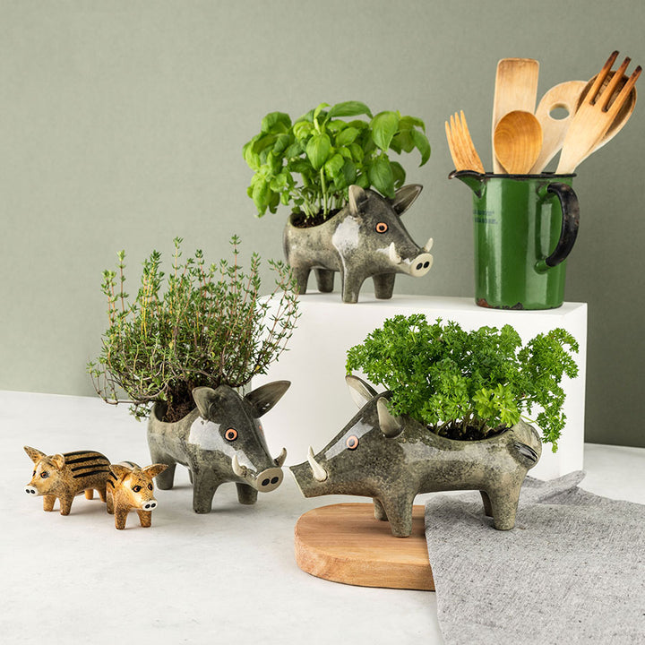 Handmade Ceramic Wild Boar Planter by Hannah Turner