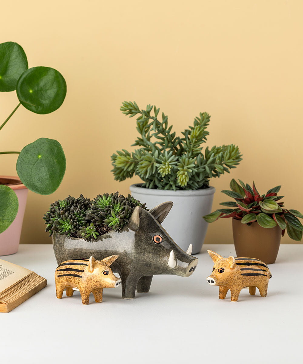 Wild boar planter with Wild boar piglet salt and pepper shakers by Hannah Turner