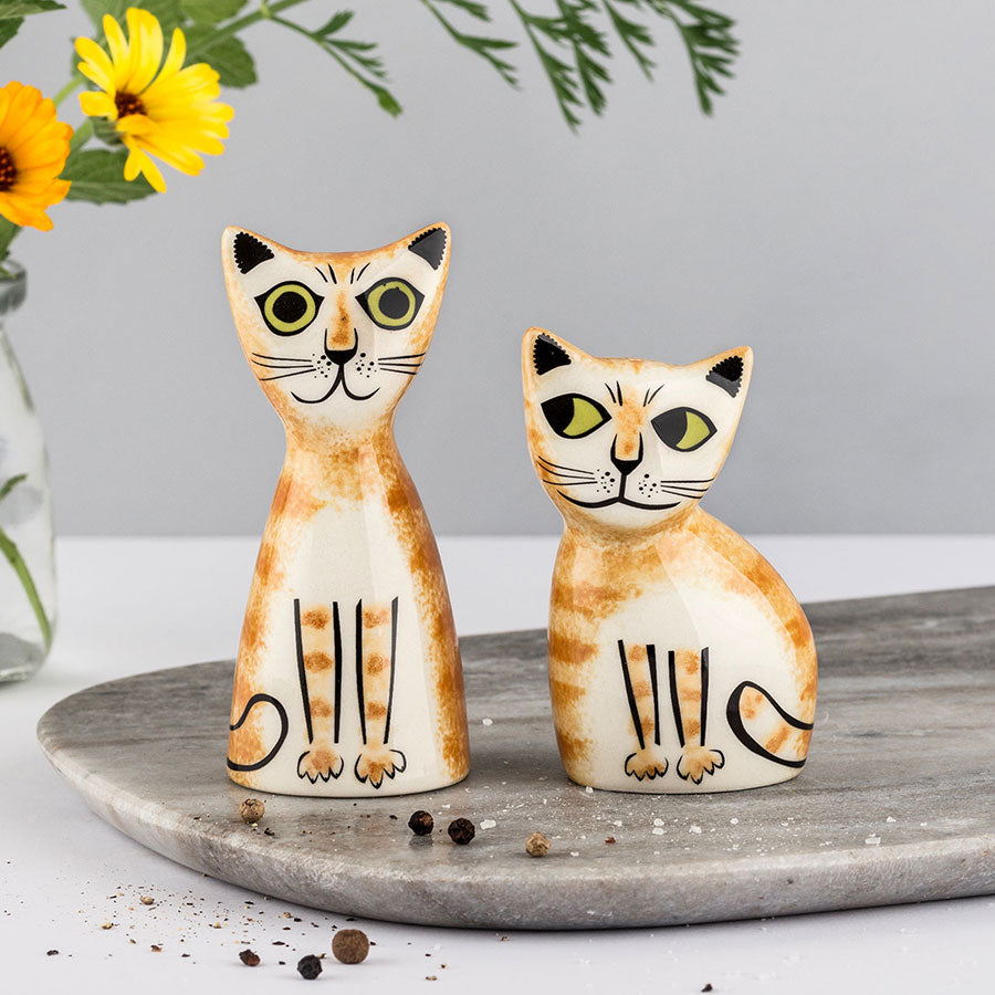 Handmade Ceramic Ginger Cat Salt and Pepper Shakers by Hannah Turner