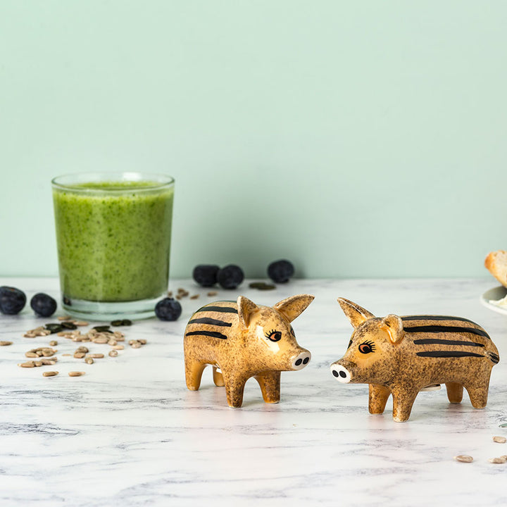 Handmade Ceramic Wild Boar Piglet Salt and Pepper Shakers by Hannah Turner