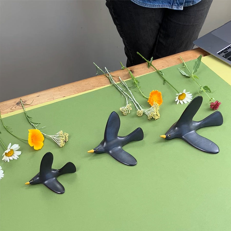 Blackbird flying trio photoshoot