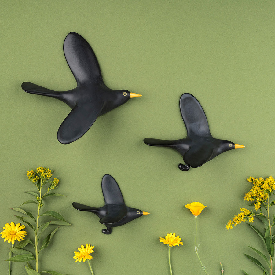 New arrival: a bold and brilliant Blackbird Flying Trio