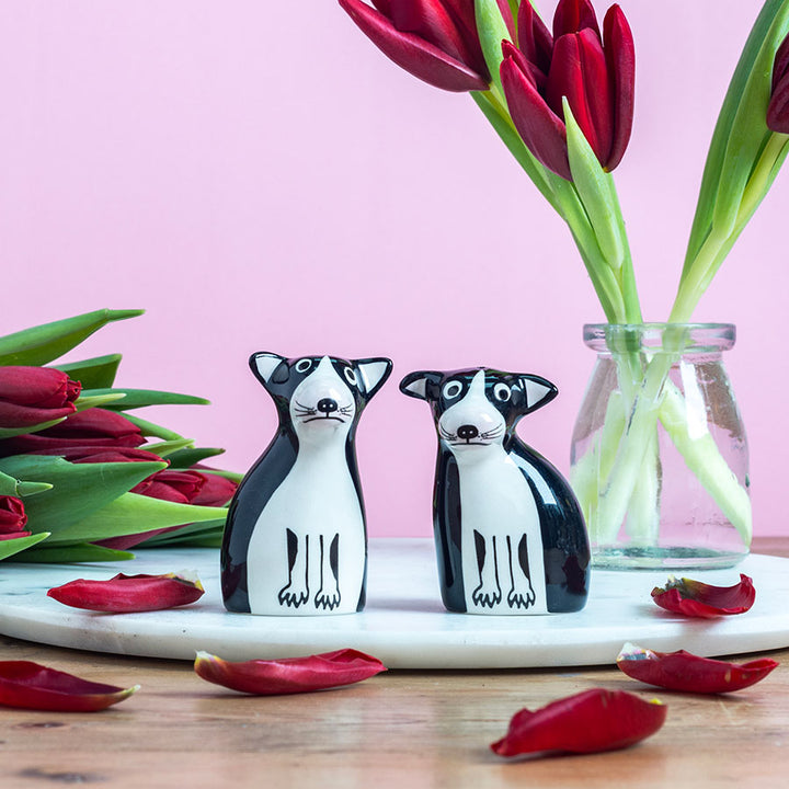 Boston Terrier Salt and Pepper Shakers by Hannah Turner