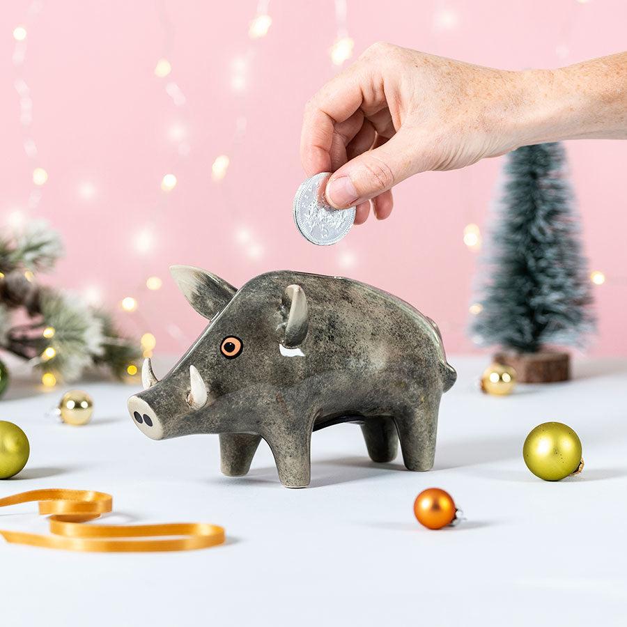 Novelty Ceramic Money Boxes | Hannah Turner