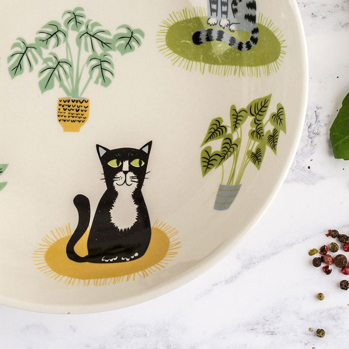 Cat Pasta Bowl Bundle