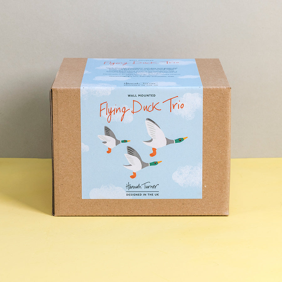 Brown cardboard gift box with a printed white label featuring flying duck illustration and the text 'Flying Duck Trio' and 'Hannah Turner designed in the UK' on a pale blue sky background with fluffy clouds. Packaging shot for Hannah Turner's Flying Duck Trio Ceramic Wall Art.