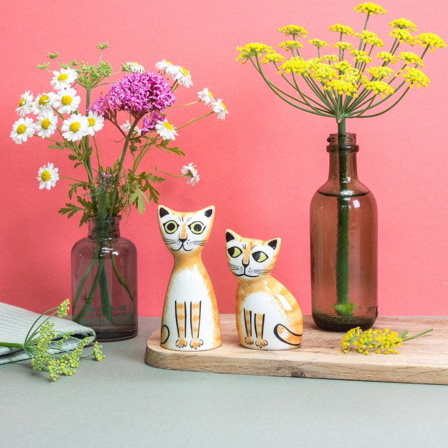 Handmade Ceramic Ginger Cat Salt and Pepper Shakers by Hannah Turner