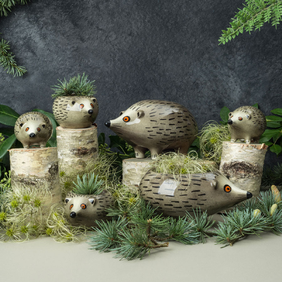 Handmade Ceramic Hedgehog Group by Hannah Turner