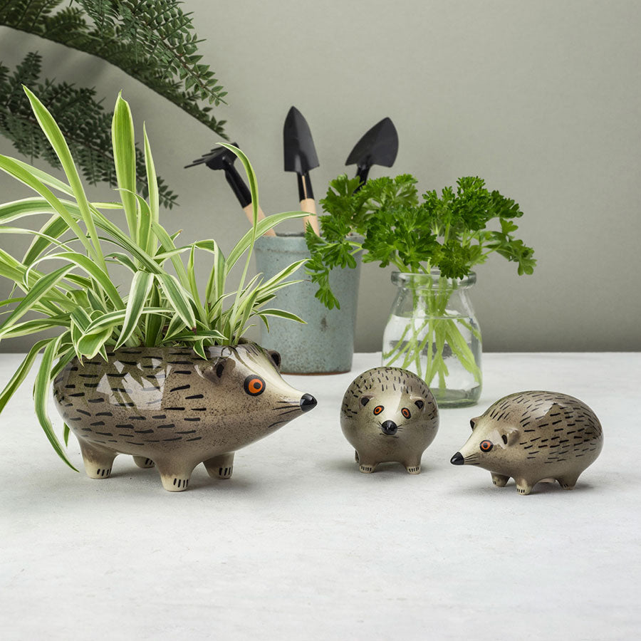Hedgehog planter with spider plant and salt and pepper shakers in a lifestyle setting. 