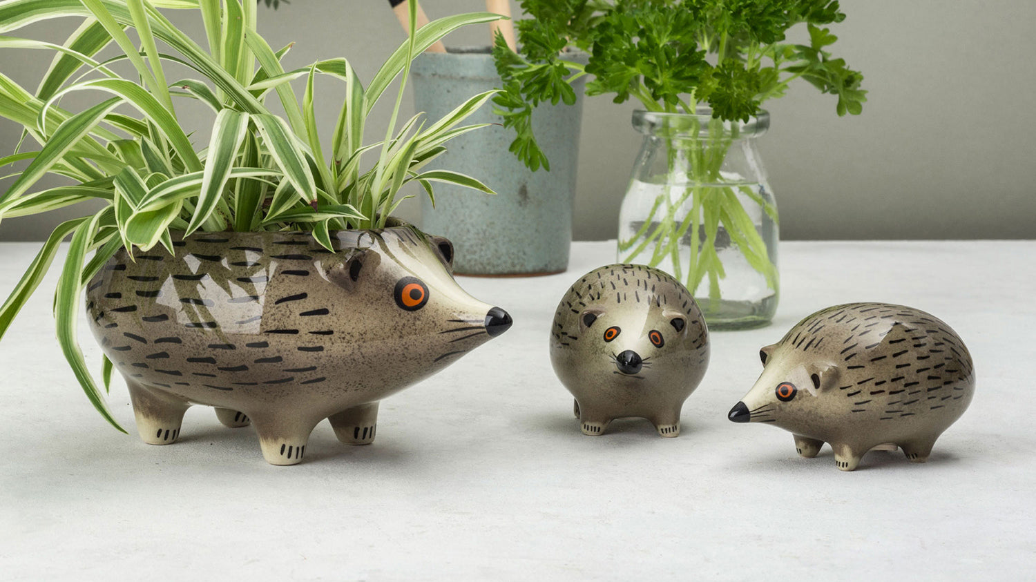 Hedgehog planter with spider plant and salt and pepper shakers in a lifestyle setting. 