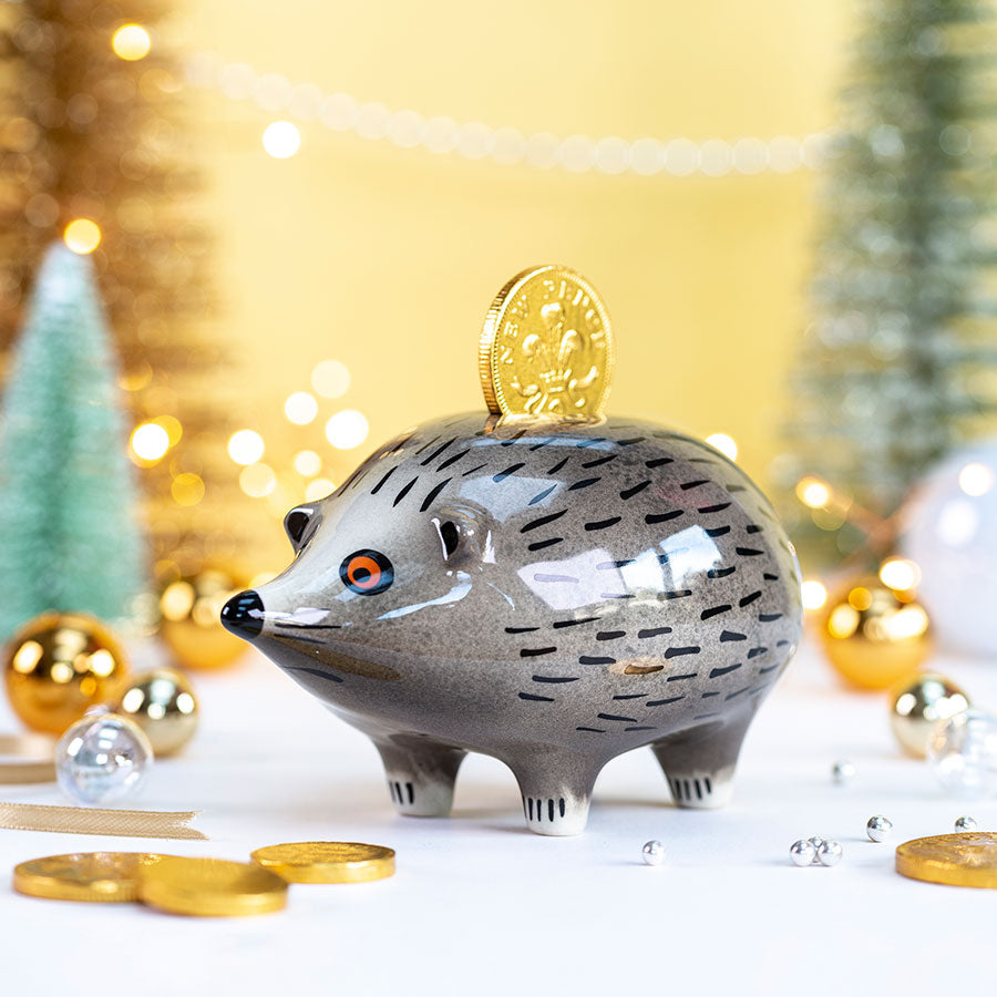 Handmade Ceramic Hedgehog Money Box by Hannah Turner