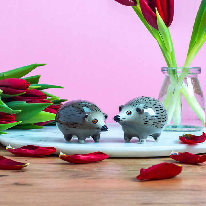 Hedgehog Salt and Pepper Shakers