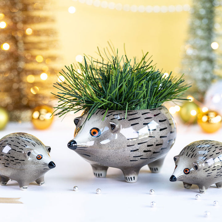 Handmade Ceramic Hedgehog Planter by Hannah Turner