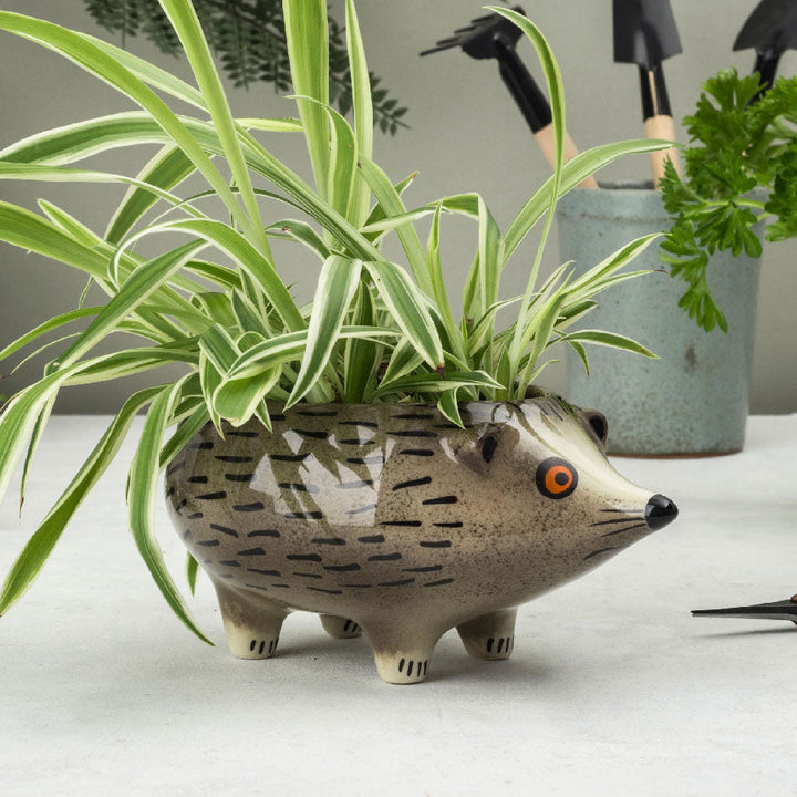 Handmade Ceramic Hedgehog Planter by Hannah Turner