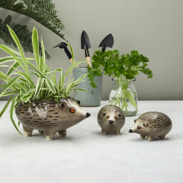 Handmade Ceramic Hedgehog Planter and Salt and Peppers by Hannah Turner