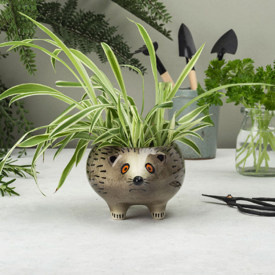 Handmade Ceramic Hedgehog Planter by Hannah Turner