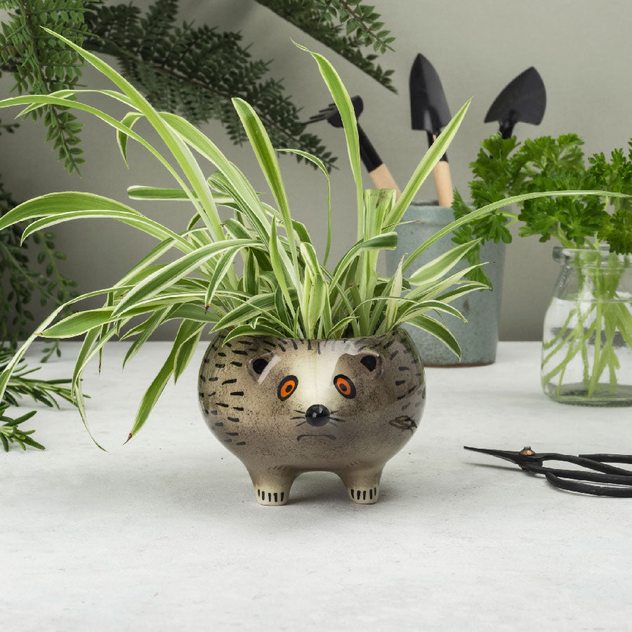 hedgehog plant pot Handmade Ceramic Hedgehog Planter