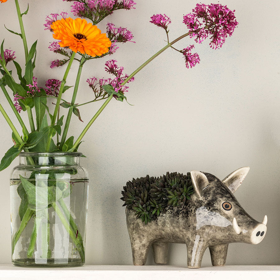 Handmade Ceramic Wild Boar Planter by Hannah Turner