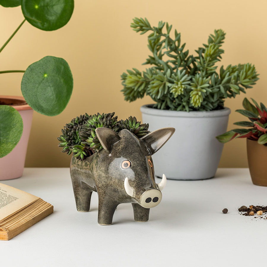 Wild boar planter by Hannah Turner
