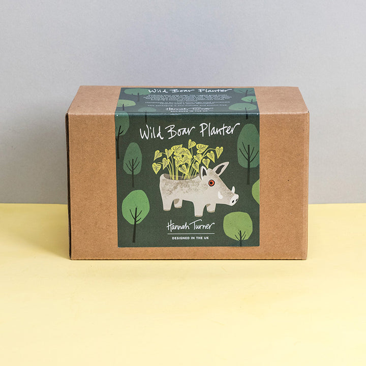 A brown kraft paper box for 'Wild Boar Planter' by 'Hannah Turner', featuring a green label with an illustration of a Wild Boar plater with plant growing inside, set against a two-tone grey and yellow background.