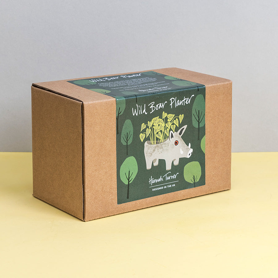 A brown kraft paper box for 'Wild Boar Planter' by 'Hannah Turner', featuring a green label with an illustration of a Wild Boar plater with plant growing inside, set against a two-tone grey and yellow background.