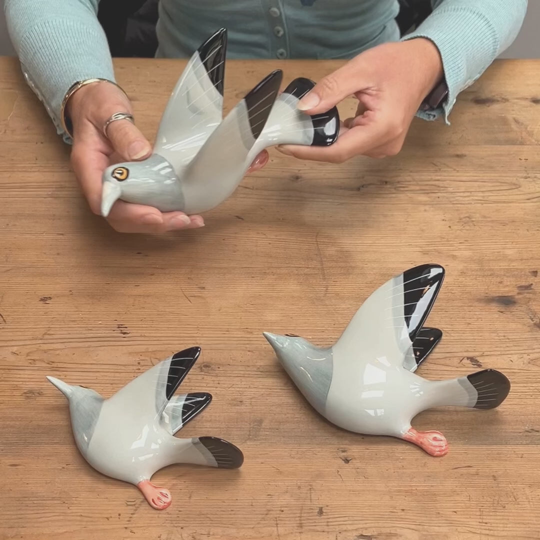 Video of unboxing of a wall mounted pigeon trio 