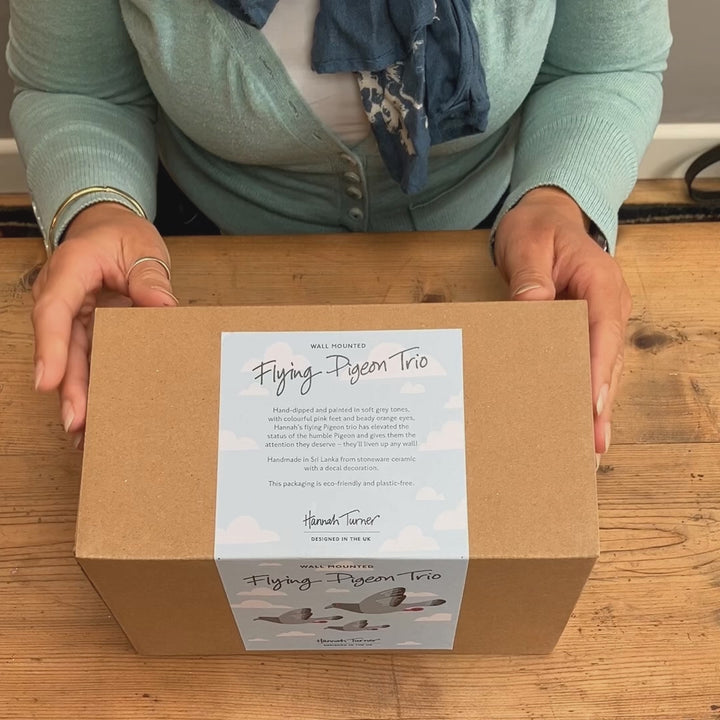 Video of unboxing of a wall mounted pigeon trio 
